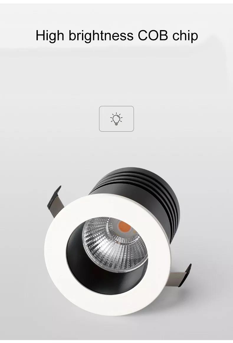 818 down light